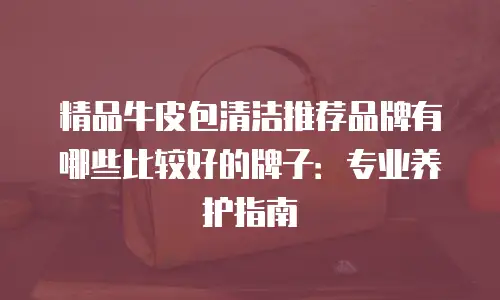 精品牛皮包清洁推荐品牌有哪些比较好的牌子：专业养护指南
