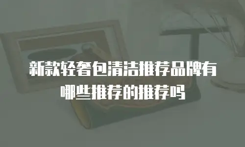 新款轻奢包清洁推荐品牌有哪些推荐的推荐吗