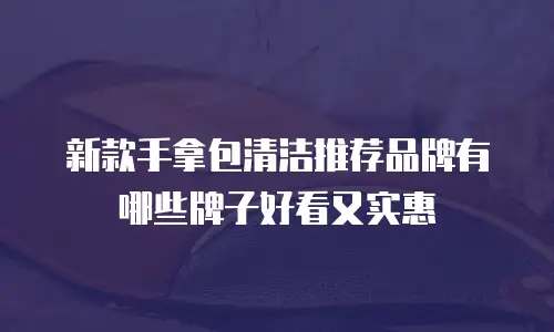 新款手拿包清洁推荐品牌有哪些牌子好看又实惠