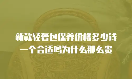 新款轻奢包保养价格多少钱一个合适吗为什么那么贵