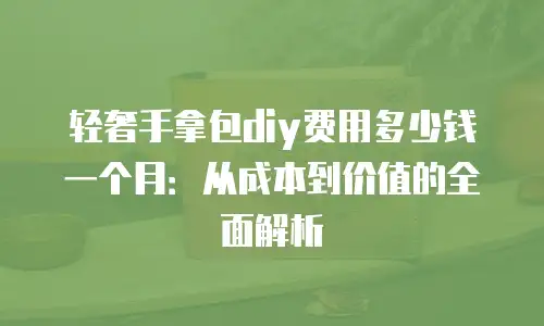 轻奢手拿包diy费用多少钱一个月：从成本到价值的全面解析
