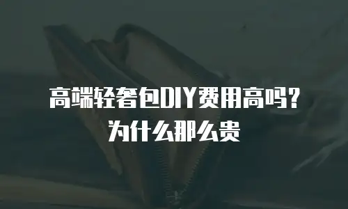 高端轻奢包DIY费用高吗？为什么那么贵