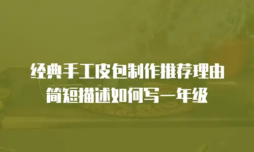 经典手工皮包制作推荐理由简短描述如何写一年级