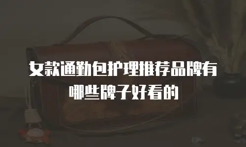 女款通勤包护理推荐品牌有哪些牌子好看的