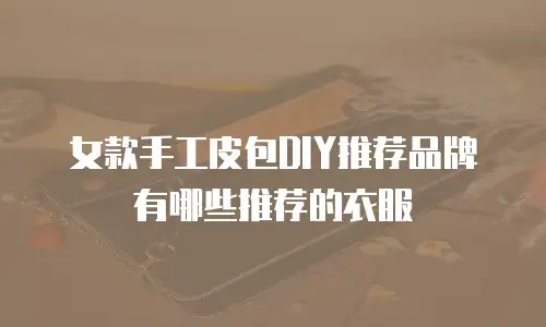 女款手工皮包DIY推荐品牌有哪些推荐的衣服