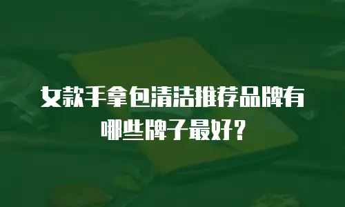 女款手拿包清洁推荐品牌有哪些牌子最好？
