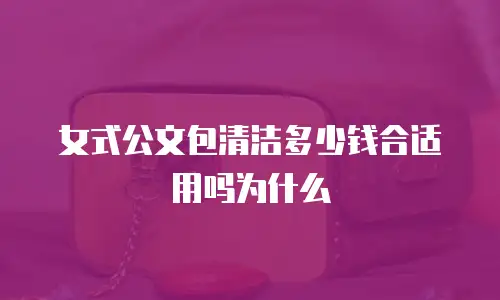 女式公文包清洁多少钱合适用吗为什么