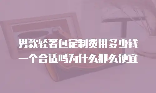 男款轻奢包定制费用多少钱一个合适吗为什么那么便宜