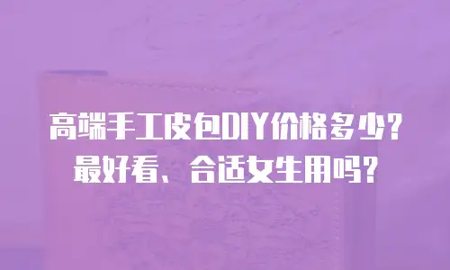 高端手工皮包DIY价格多少？最好看、合适女生用吗？