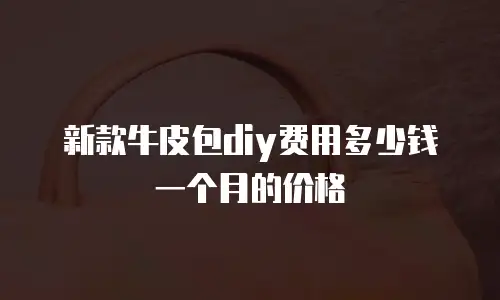 新款牛皮包diy费用多少钱一个月的价格