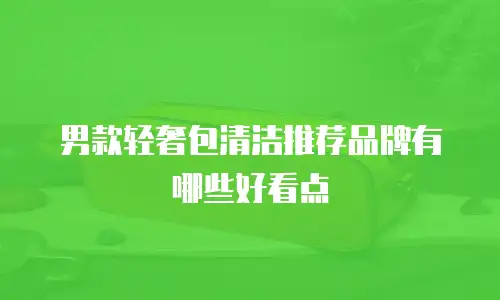 男款轻奢包清洁推荐品牌有哪些好看点