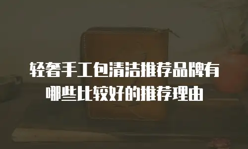 轻奢手工包清洁推荐品牌有哪些比较好的推荐理由