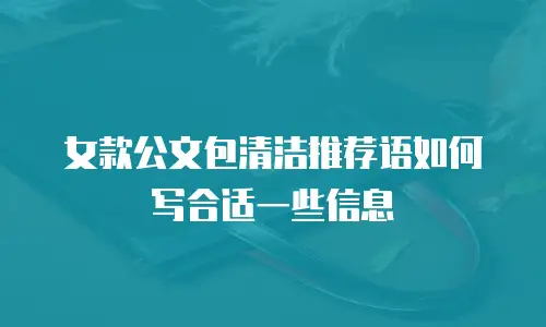 女款公文包清洁推荐语如何写合适一些信息