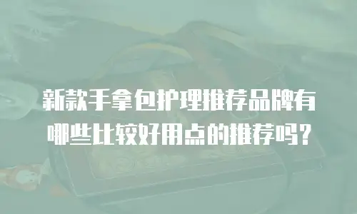 新款手拿包护理推荐品牌有哪些比较好用点的推荐吗？