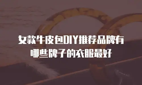 女款牛皮包DIY推荐品牌有哪些牌子的衣服最好