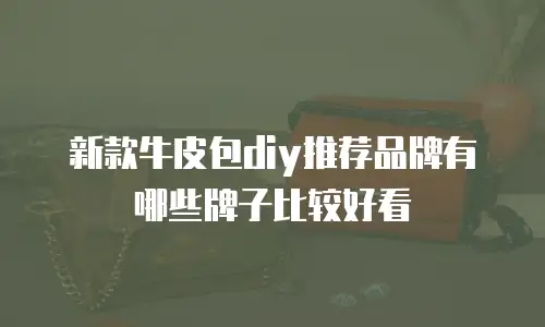 新款牛皮包diy推荐品牌有哪些牌子比较好看
