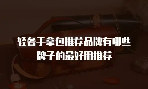 轻奢手拿包推荐品牌有哪些牌子的最好用推荐