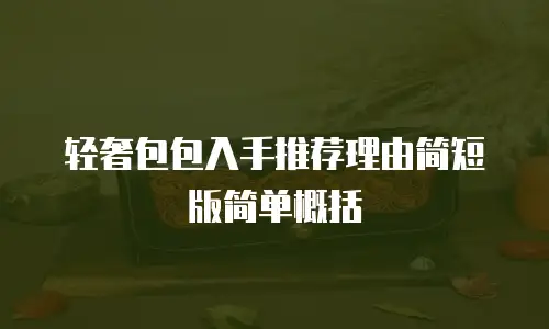 轻奢包包入手推荐理由简短版简单概括