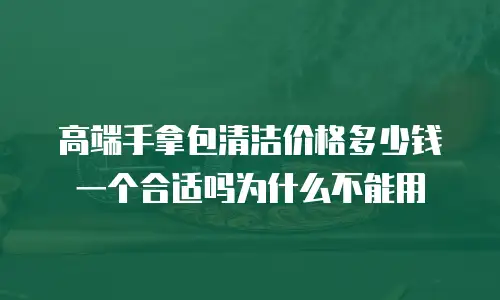 高端手拿包清洁价格多少钱一个合适吗为什么不能用