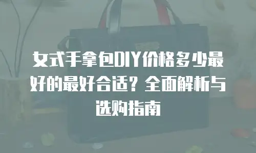 女式手拿包DIY价格多少最好的最好合适？全面解析与选购指南