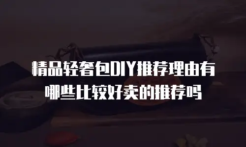 精品轻奢包DIY推荐理由有哪些比较好卖的推荐吗