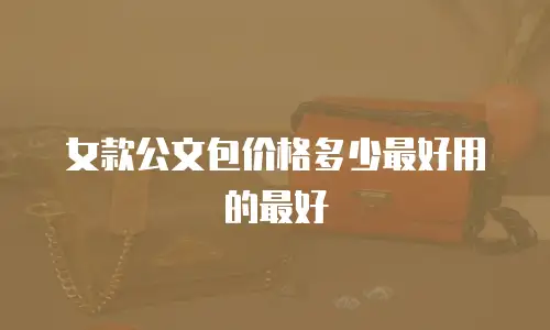 女款公文包价格多少最好用的最好