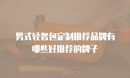 男式轻奢包定制推荐品牌有哪些好推荐的牌子