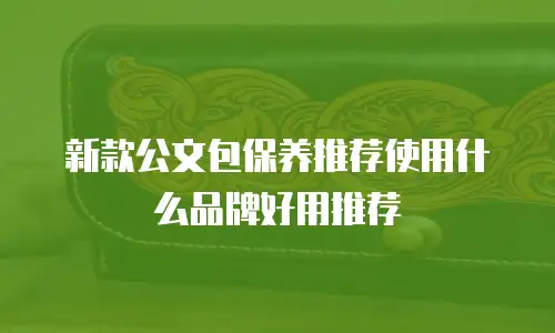 新款公文包保养推荐使用什么品牌好用推荐