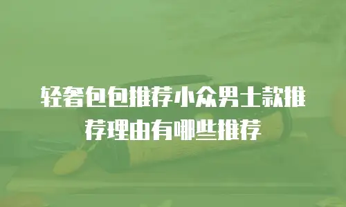 轻奢包包推荐小众男士款推荐理由有哪些推荐