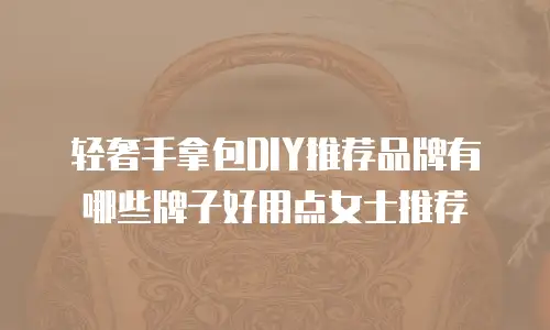 轻奢手拿包DIY推荐品牌有哪些牌子好用点女士推荐