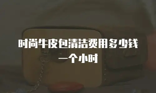 时尚牛皮包清洁费用多少钱一个小时