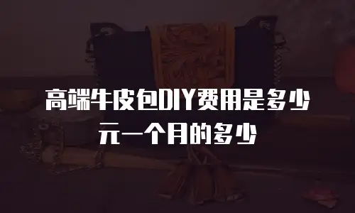 高端牛皮包DIY费用是多少元一个月的多少