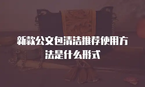 新款公文包清洁推荐使用方法是什么形式
