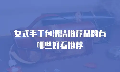 女式手工包清洁推荐品牌有哪些好看推荐