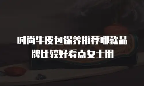 时尚牛皮包保养推荐哪款品牌比较好看点女士用