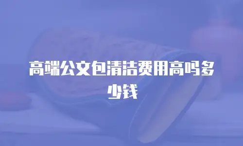 高端公文包清洁费用高吗多少钱