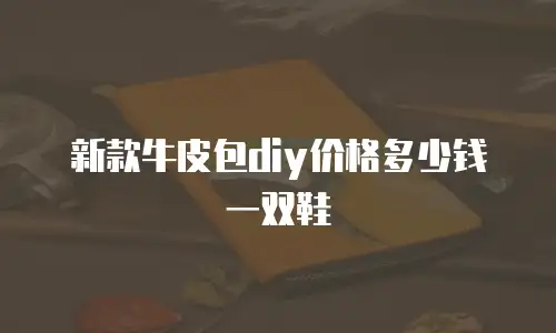 新款牛皮包diy价格多少钱一双鞋