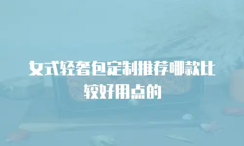 女式轻奢包定制推荐哪款比较好用点的