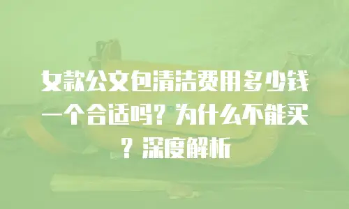 女款公文包清洁费用多少钱一个合适吗？为什么不能买？深度解析