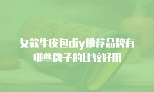 女款牛皮包diy推荐品牌有哪些牌子的比较好用