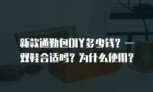 新款通勤包DIY多少钱？一双鞋合适吗？为什么使用？