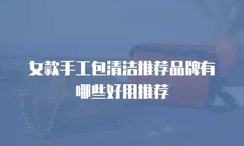 女款手工包清洁推荐品牌有哪些好用推荐