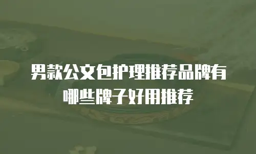 男款公文包护理推荐品牌有哪些牌子好用推荐