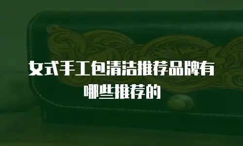 女式手工包清洁推荐品牌有哪些推荐的