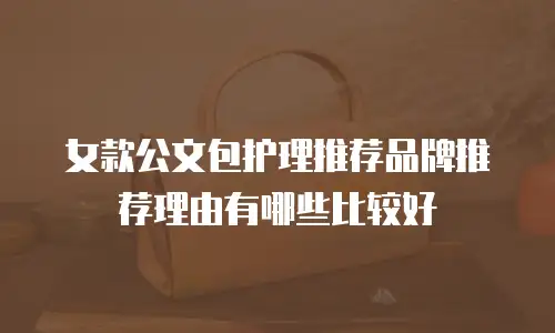 女款公文包护理推荐品牌推荐理由有哪些比较好