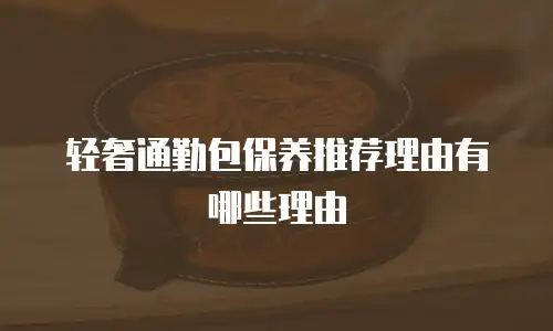 轻奢通勤包保养推荐理由有哪些理由