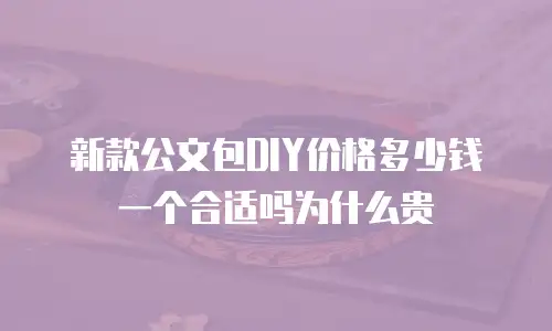 新款公文包DIY价格多少钱一个合适吗为什么贵