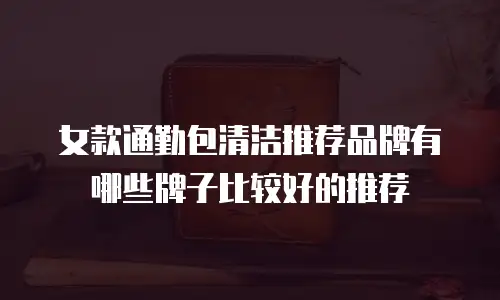 女款通勤包清洁推荐品牌有哪些牌子比较好的推荐