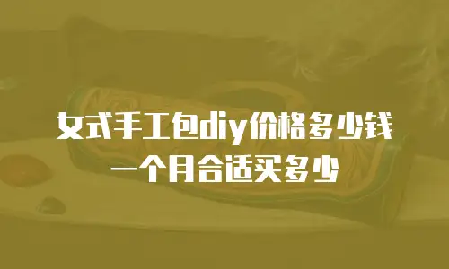 女式手工包diy价格多少钱一个月合适买多少
