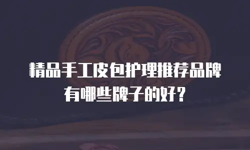 精品手工皮包护理推荐品牌有哪些牌子的好？